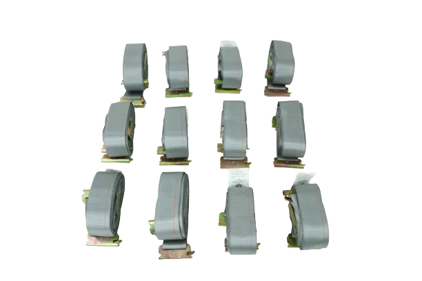 2" x 16' Grey Interior Van Strap Cam Buckle Assembly with E-Track Fitting | Pack of 12