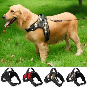 Adjustable Dog Harness