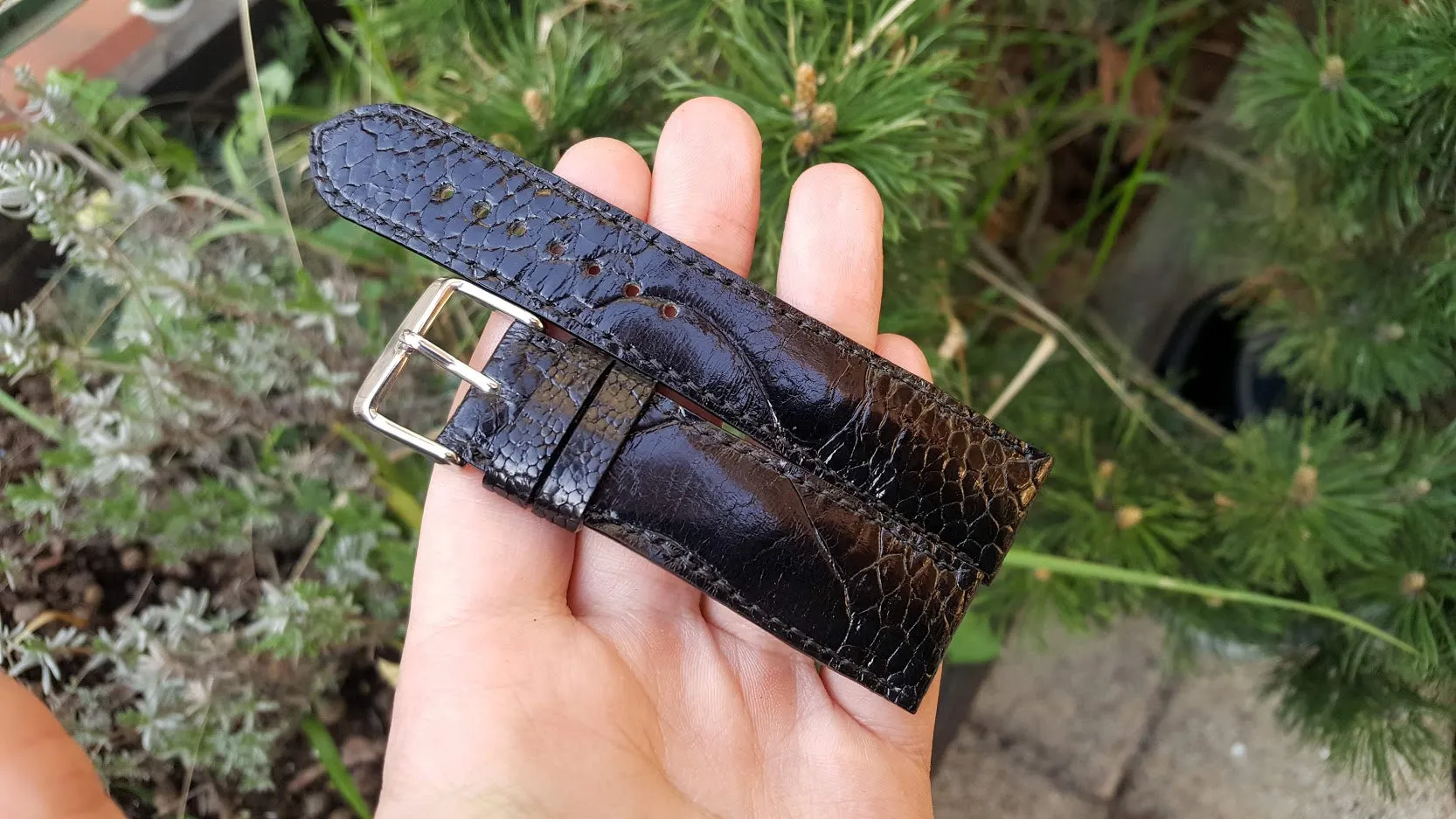 Black Ostrich Leg 22 mm