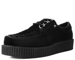 Black Velvet Anarchic Creeper