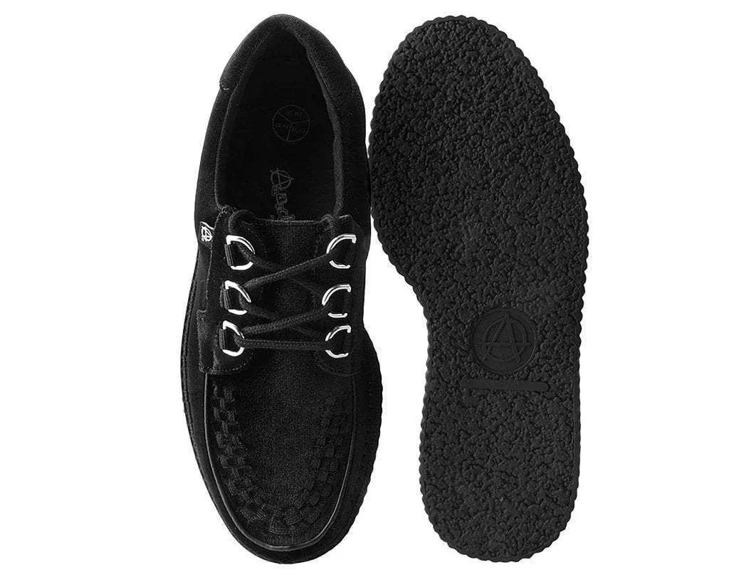 Black Velvet Anarchic Creeper