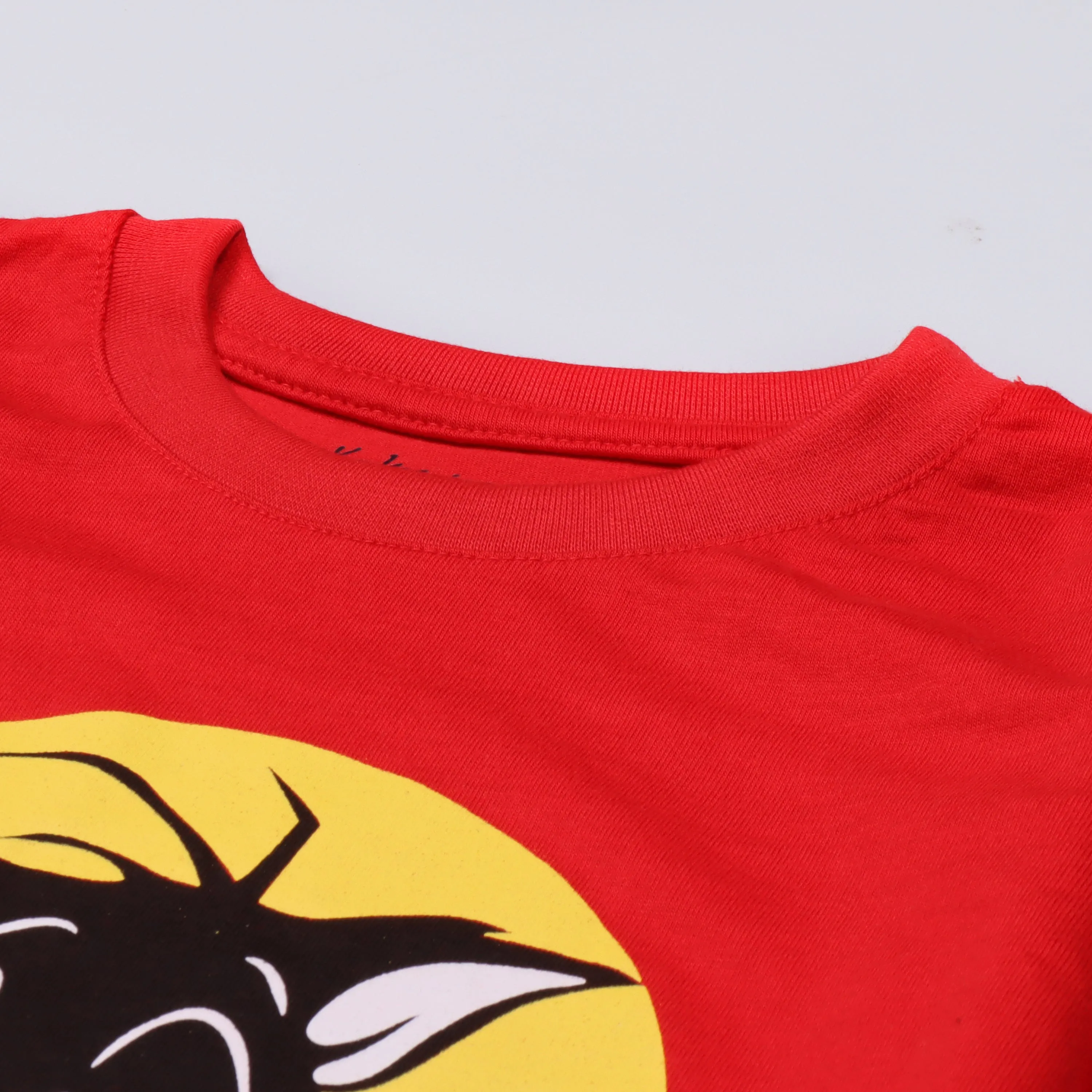Boys Half Sleeves-Printed T-Shirt (Morning)