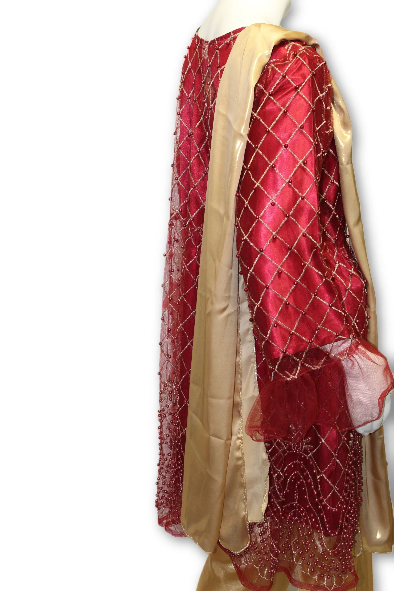 D12 Pakistani Indian Women Embroidered Organza Formal Dress