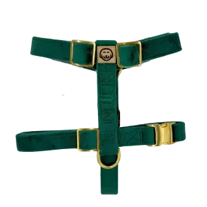 Emerald - Adjustable Strap Dog Harness