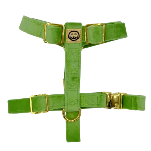 Fern Velvet - Adjustable Strap Dog Harness