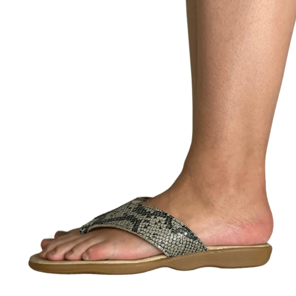 Flippity Flop