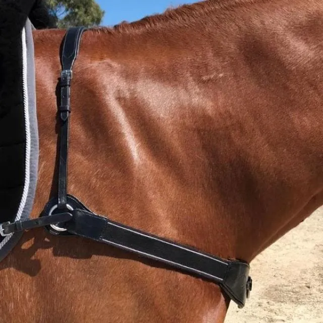 Lumiere Breastplate Vida Leather (L8907)