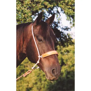 MARTIN LEATHER NOSE HEADSETTER TIEDOWN