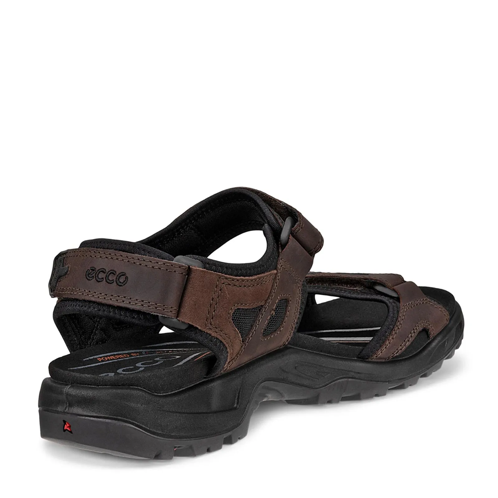 Men's Ecco, Yucatan Sandal