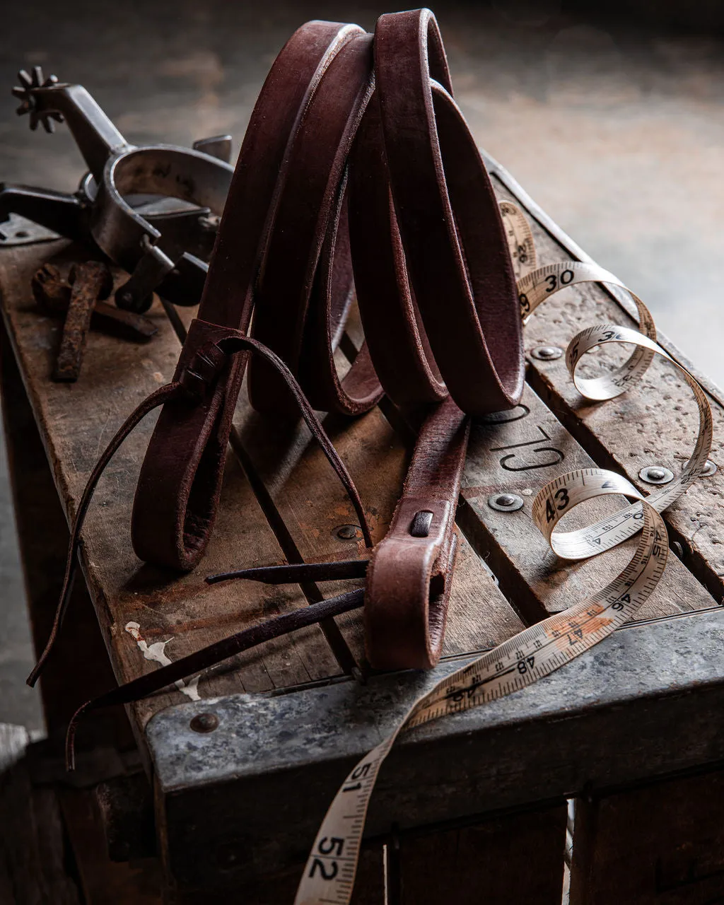 Old World Harness Roping/Barrel Reins