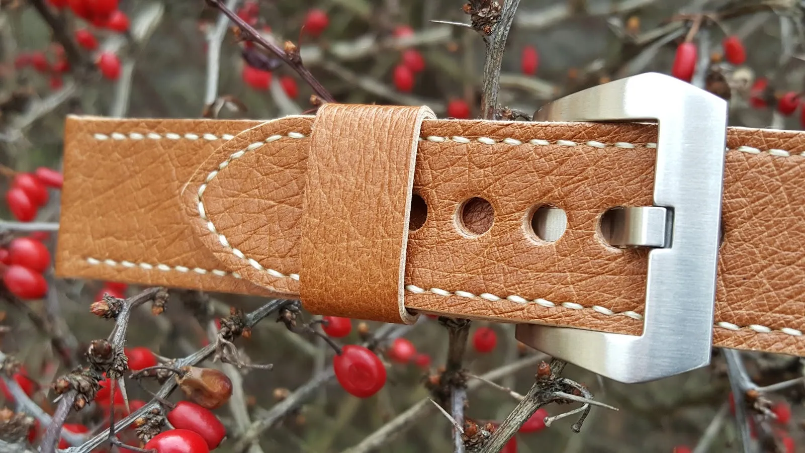 Ostrich Watch Strap 22 mm