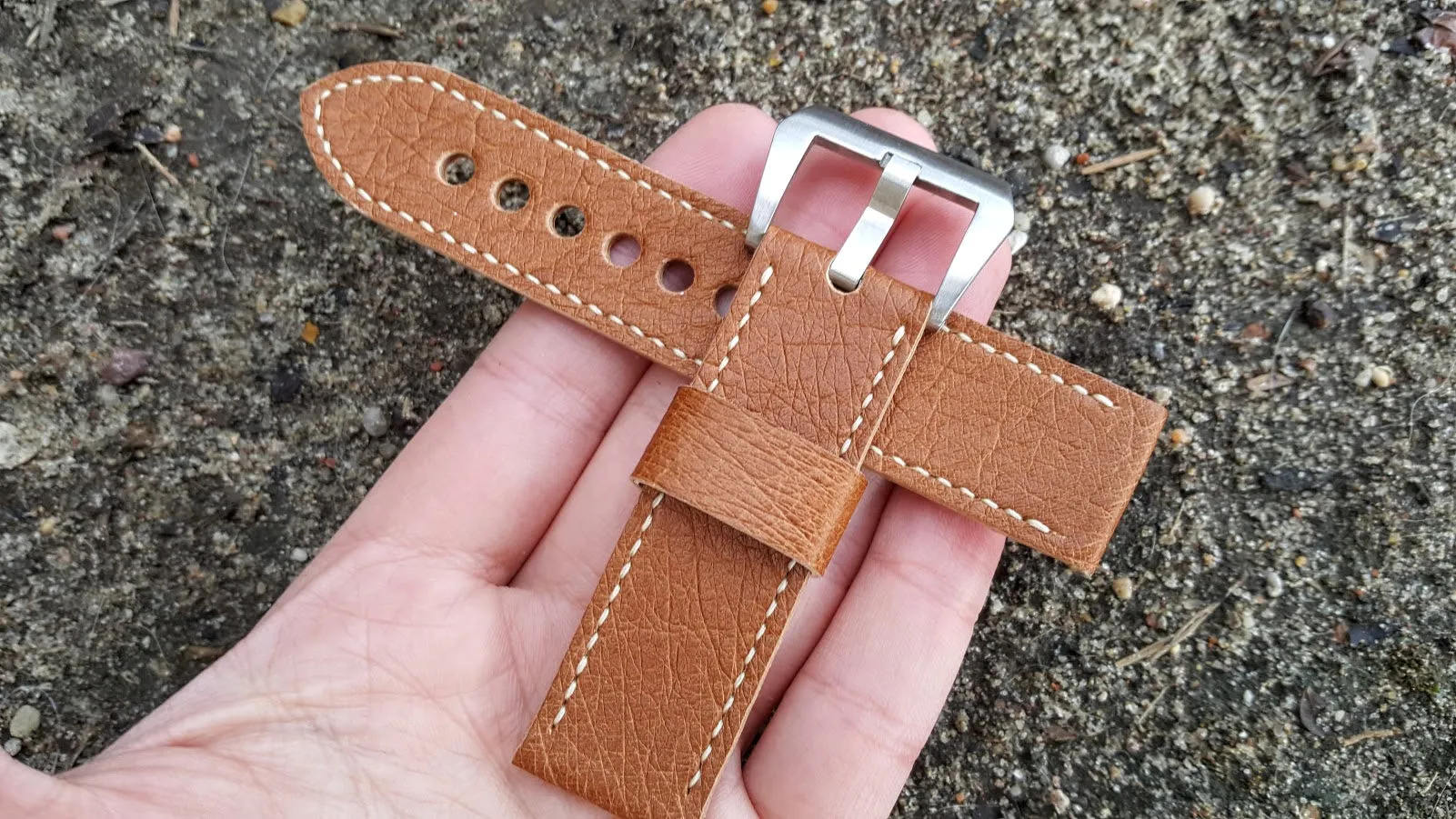 Ostrich Watch Strap 22 mm