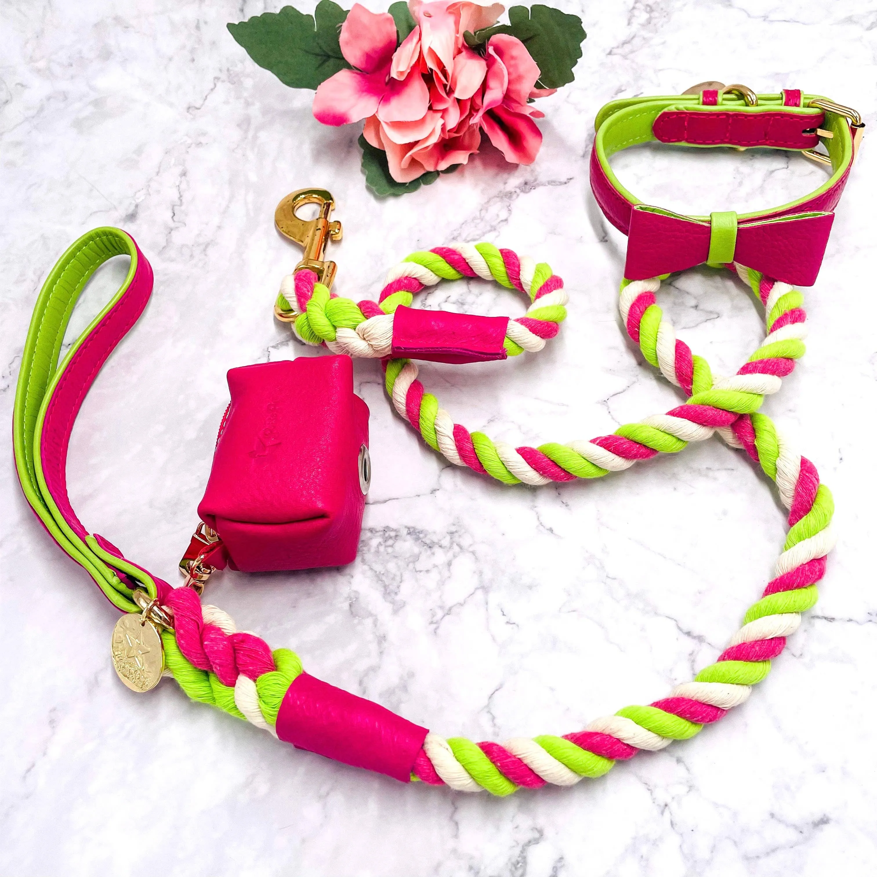 PoisePup - LEASH - CANDY SWIRL