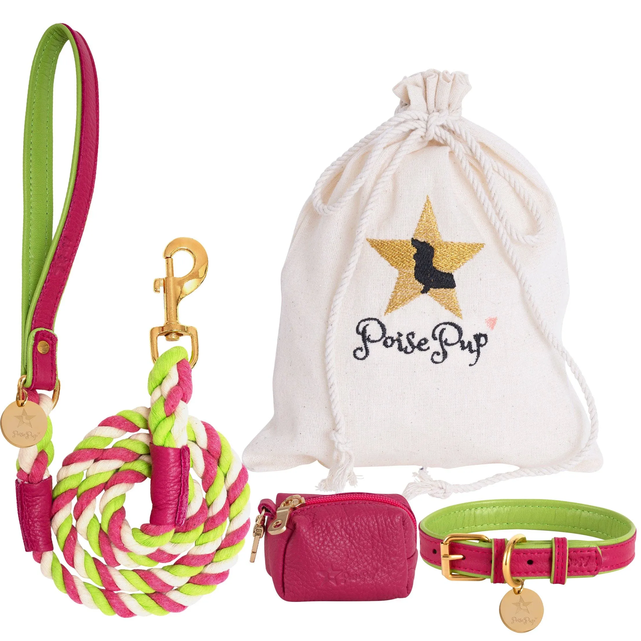 PoisePup - LEASH - CANDY SWIRL