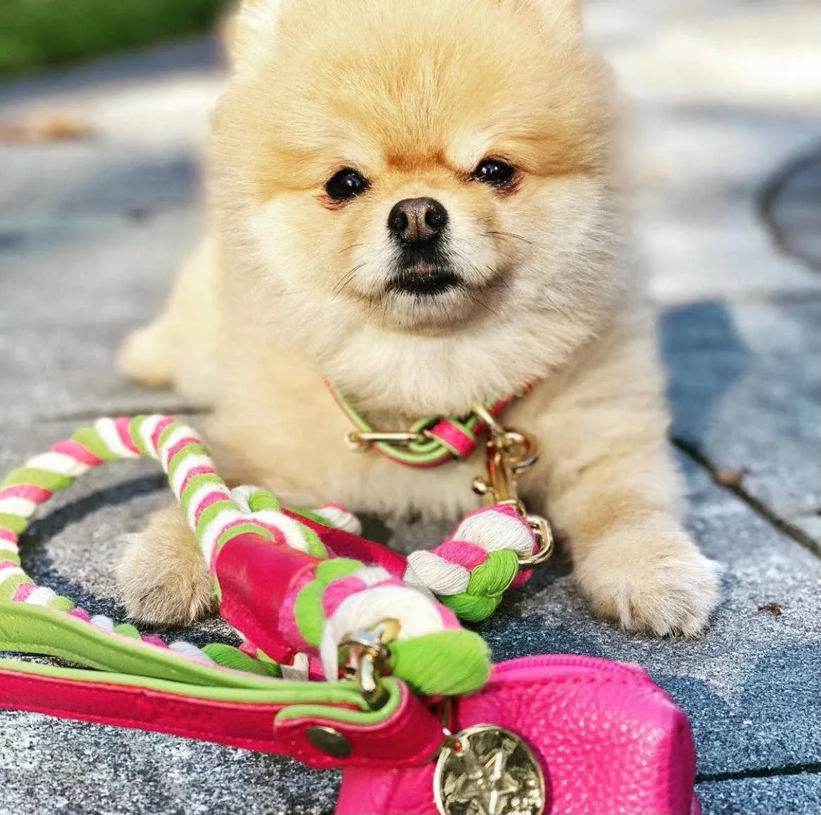 PoisePup - LEASH - CANDY SWIRL