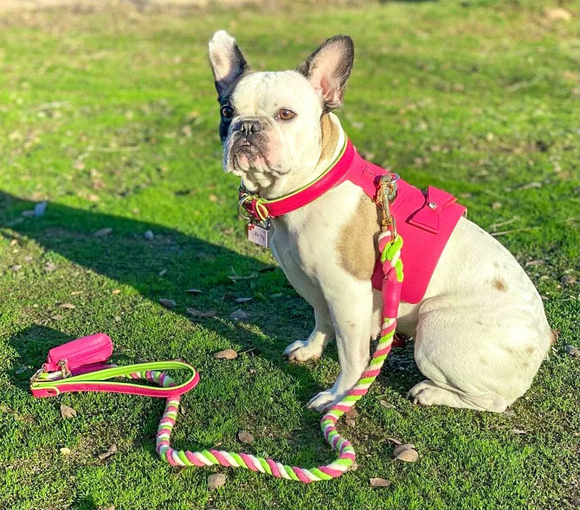 PoisePup - LEASH - CANDY SWIRL