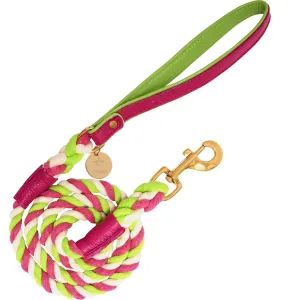PoisePup - LEASH - CANDY SWIRL