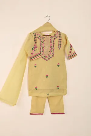 TKF-132-Skin - Kids 3Pc Javeria Net Embroidered Formal Dress