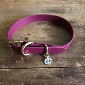 Waterproof Buckle Collar : Wine   Brass